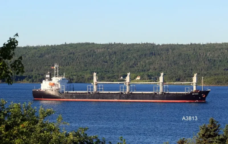 SKYROS Bulk Carrier IMO 9177985 photo 2