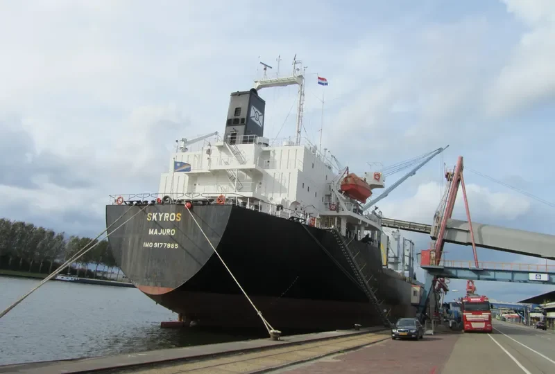 SKYROS Bulk Carrier IMO 9177985 photo 7