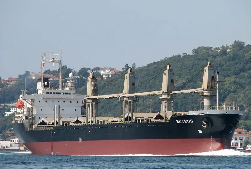 SKYROS Bulk Carrier IMO 9177985 photo 9