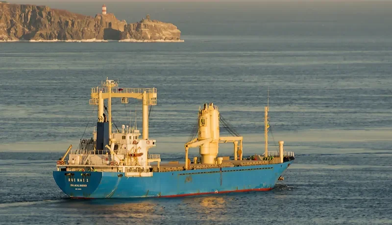 RUI HAI 1 General Cargo IMO 9178070 photo 2