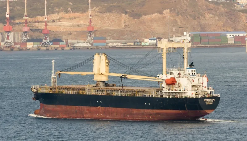 SPRING SAPO General Cargo IMO 9178094 photo 4