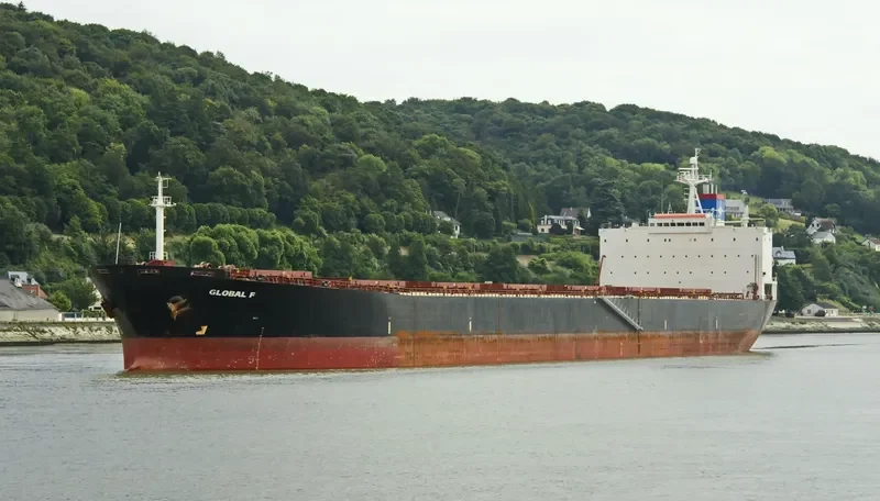 FORTUNE UNION Bulk Carrier IMO 9178226 photo 3