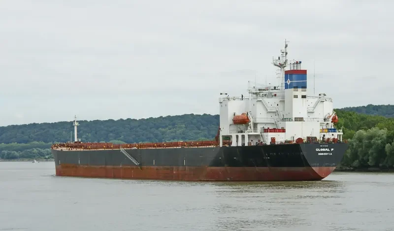 FORTUNE UNION Bulk Carrier IMO 9178226 photo 4