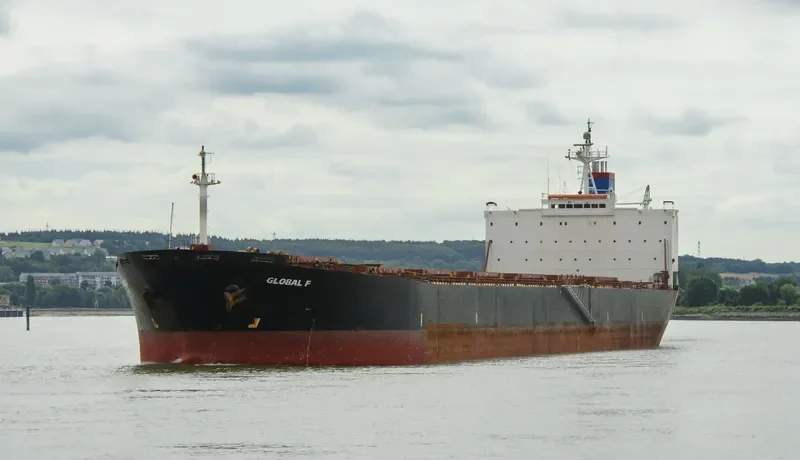 FORTUNE UNION Bulk Carrier IMO 9178226 photo 5