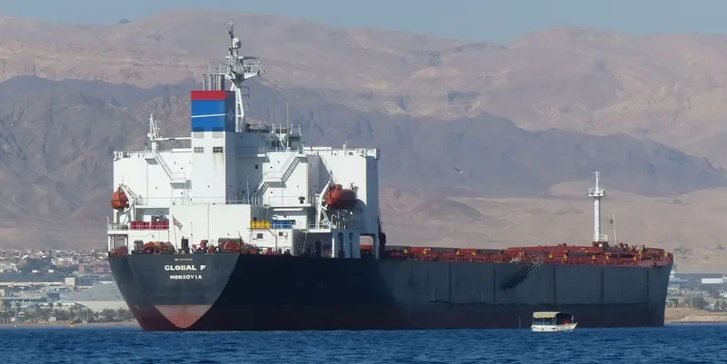 FORTUNE UNION Bulk Carrier IMO 9178226 photo 7