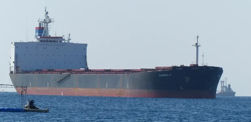 FORTUNE UNION Bulk Carrier IMO 9178226 photo 8