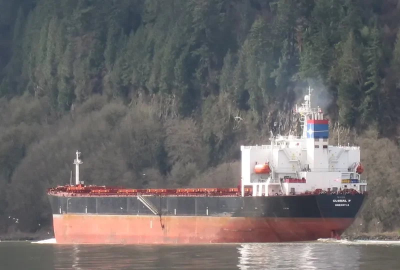 FORTUNE UNION Bulk Carrier IMO 9178226 photo 9