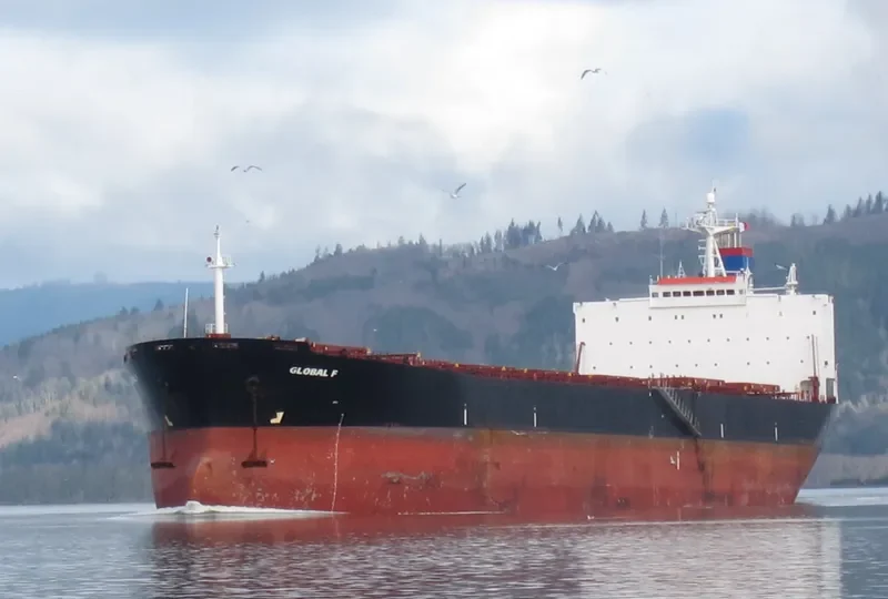 FORTUNE UNION Bulk Carrier IMO 9178226 photo 10