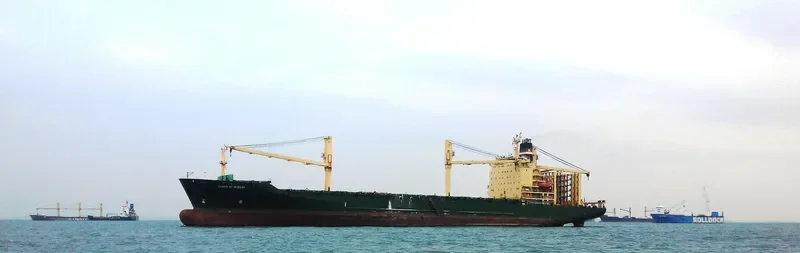 SPIRIT OF MUMBAI Container Ship IMO 9178276