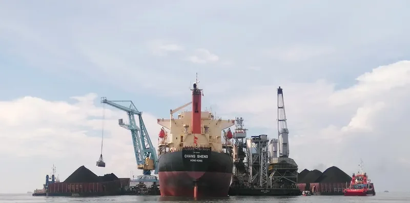 CHANG SHENG Bulk Carrier IMO 9178408