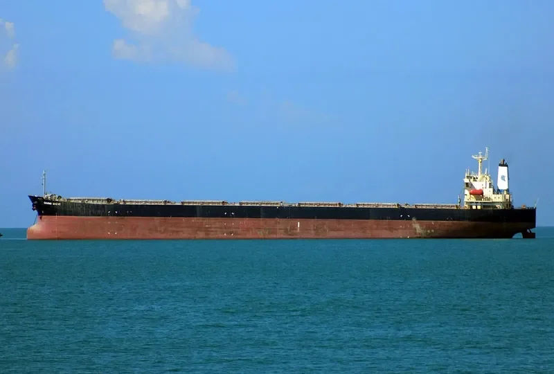 CHANG SHENG Bulk Carrier IMO 9178408 photo 9