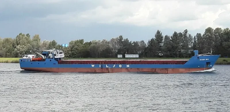 WILSON WAAL General Cargo IMO 9178446 photo 6
