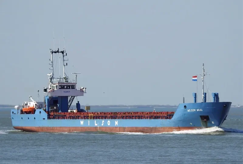 WILSON WAAL General Cargo IMO 9178446 photo 10