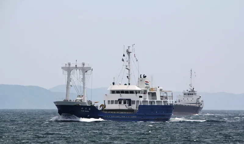 YURI MARU Passenger Ship IMO 9178484 photo 3