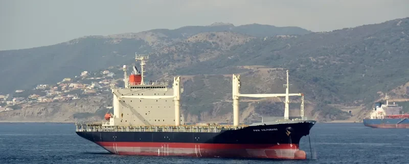 SUNGAI MAS Container Ship IMO 9178549