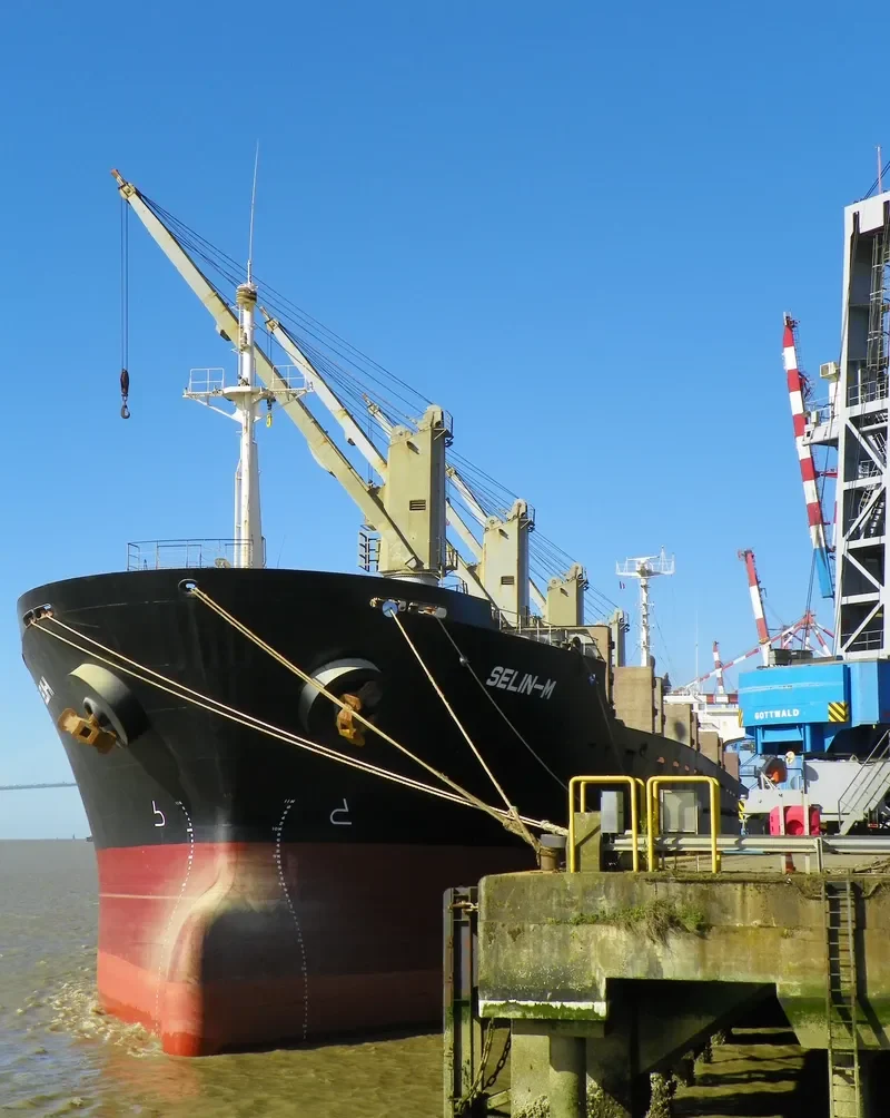 SELIN M Bulk Carrier IMO 9178551 photo 2