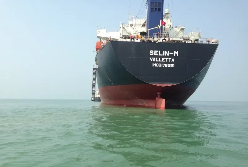 SELIN M Bulk Carrier IMO 9178551 photo 4