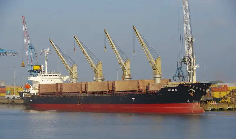 SELIN M Bulk Carrier IMO 9178551 photo 5