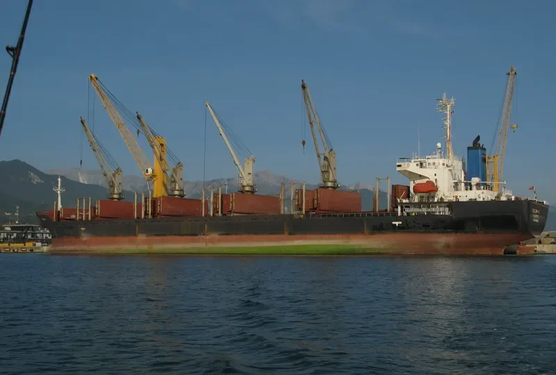 SELIN M Bulk Carrier IMO 9178551 photo 6
