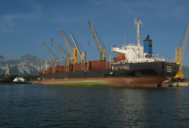 SELIN M Bulk Carrier IMO 9178551 photo 7