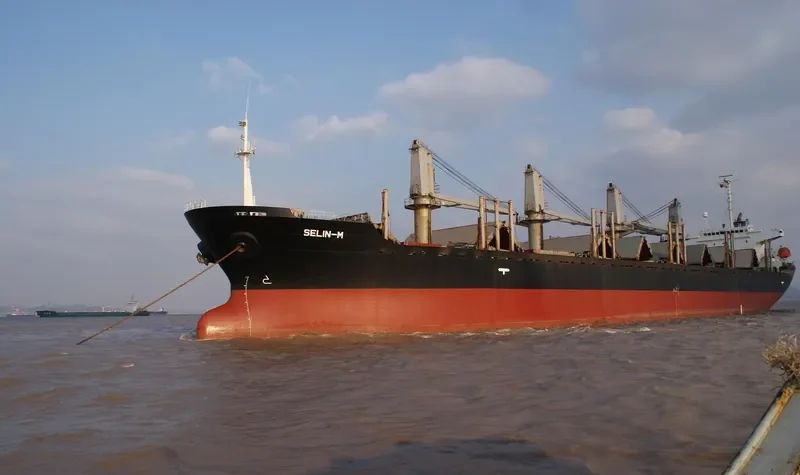 SELIN M Bulk Carrier IMO 9178551 photo 9