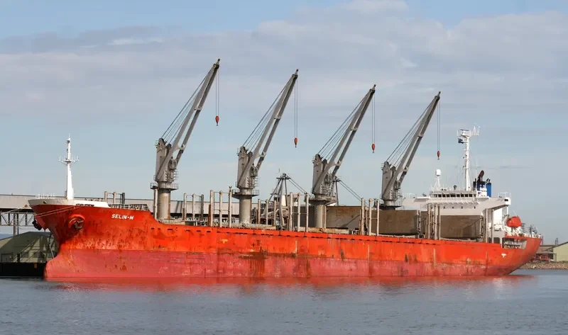 SELIN M Bulk Carrier IMO 9178551 photo 10