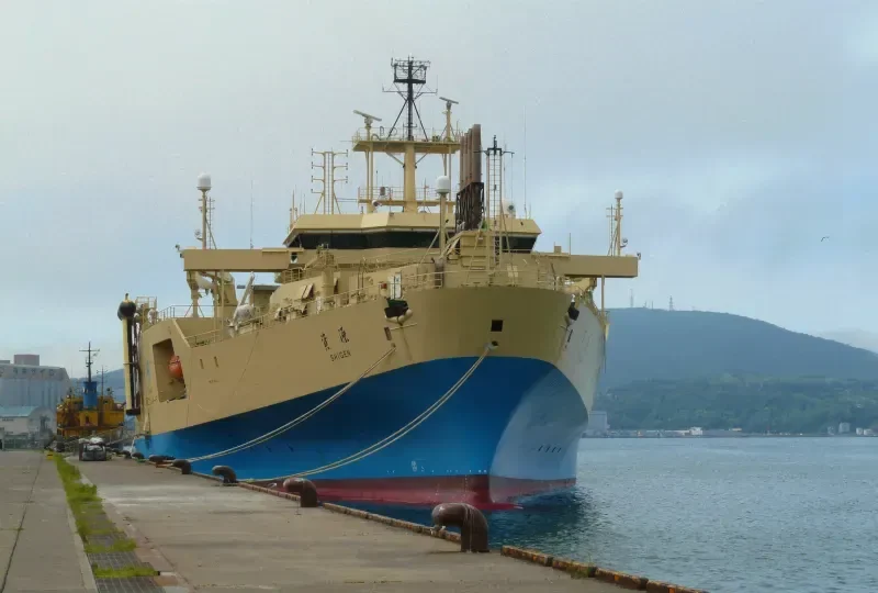 RAMFORM VICTORY General Cargo IMO 9178630 photo 6