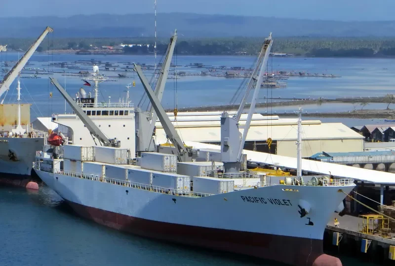 PACIFIC VIOLET General Cargo IMO 9178654 photo 5