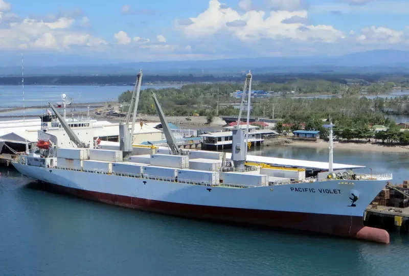 PACIFIC VIOLET General Cargo IMO 9178654 photo 6
