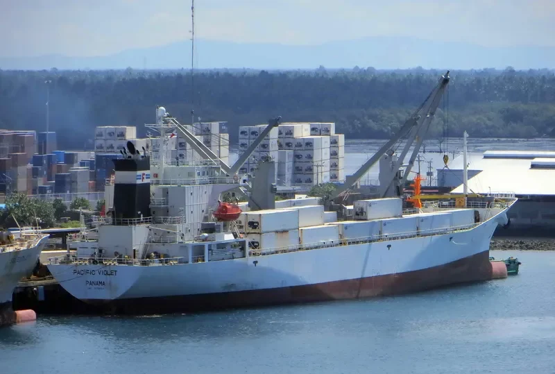PACIFIC VIOLET General Cargo IMO 9178654 photo 9