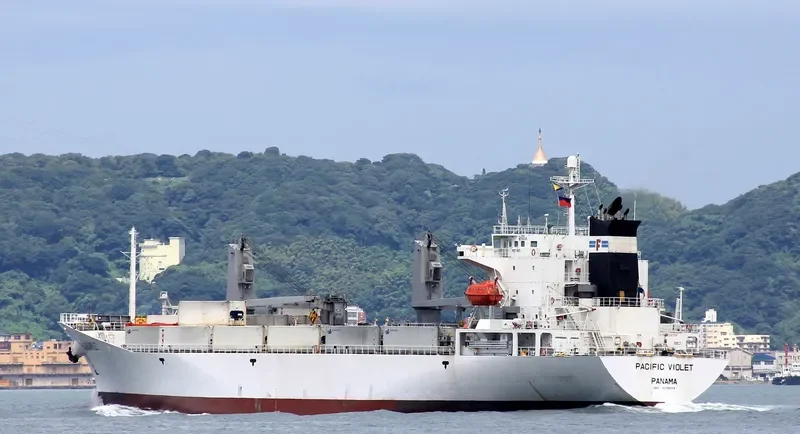 PACIFIC VIOLET General Cargo IMO 9178654 photo 10