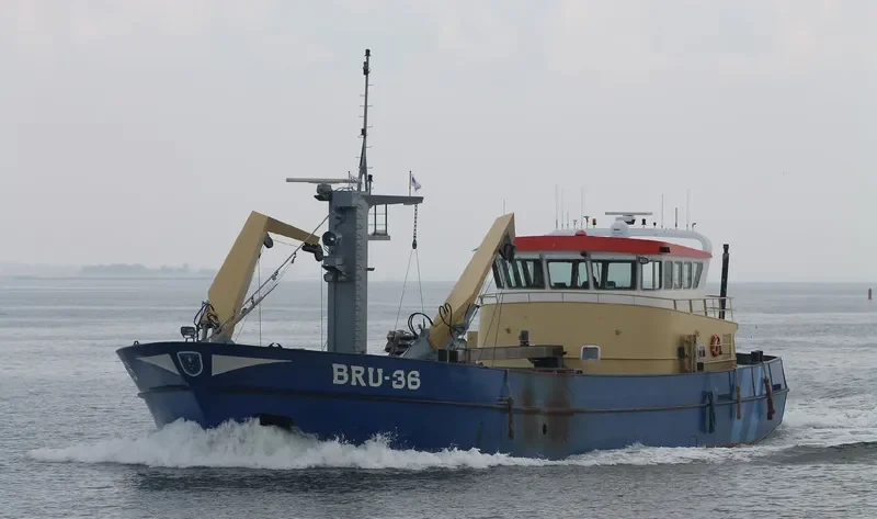 BRU 36 JOHANNES CORNELIS General Cargo IMO 9179086