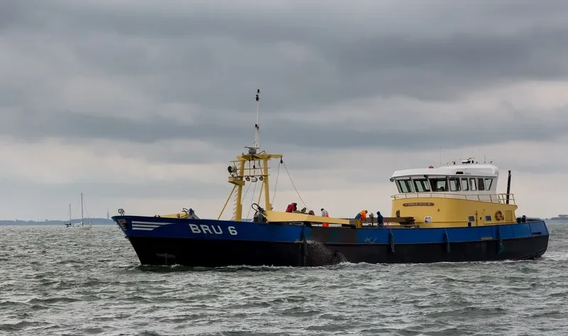 BRU 36 JOHANNES CORNELIS General Cargo IMO 9179086 photo 9
