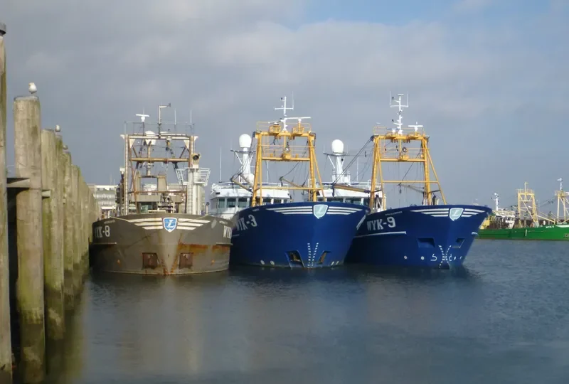 TRIJNTJE General Cargo IMO 9179098 photo 6