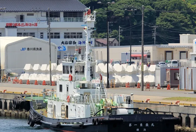 TOA MARU NO.1 General Cargo IMO 9179139