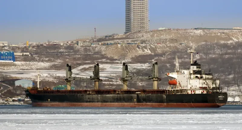 MONICA P Bulk Carrier IMO 9179218 photo 3
