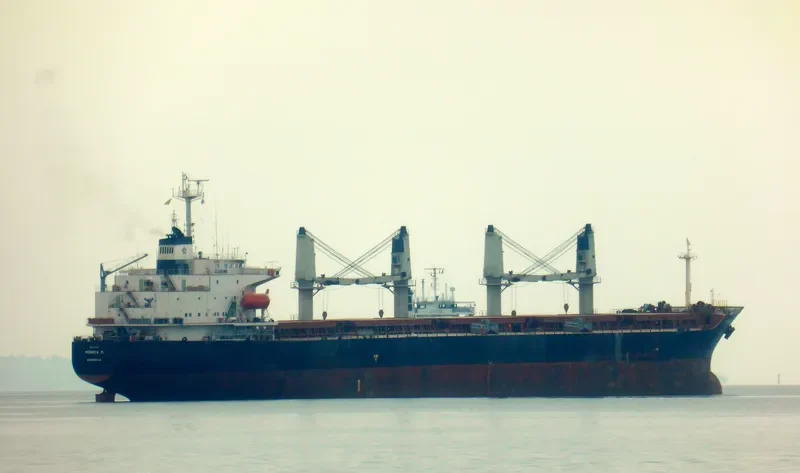 MONICA P Bulk Carrier IMO 9179218 photo 7