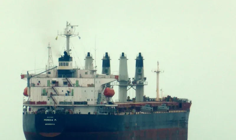 MONICA P Bulk Carrier IMO 9179218 photo 8