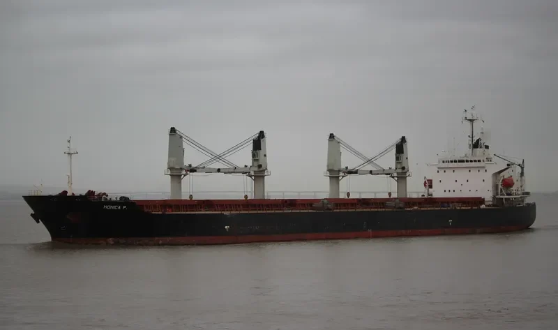 MONICA P Bulk Carrier IMO 9179218 photo 9
