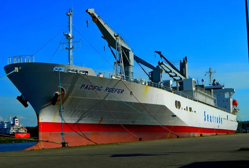 PACIFIC REEFER General Cargo IMO 9179268