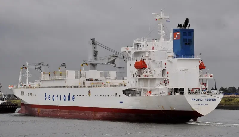 PACIFIC REEFER General Cargo IMO 9179268 photo 5