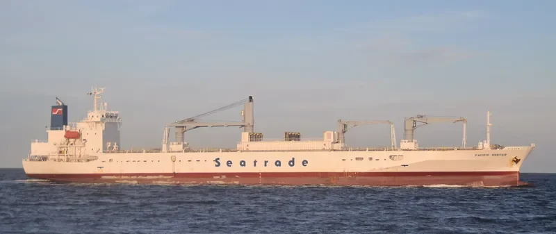 PACIFIC REEFER General Cargo IMO 9179268 photo 7