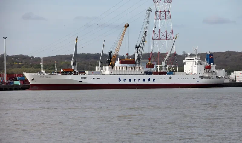 PACIFIC REEFER General Cargo IMO 9179268 photo 8