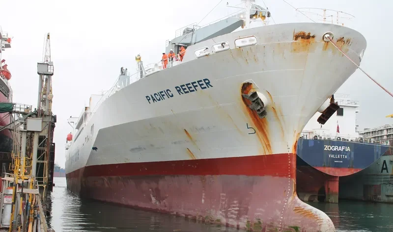 PACIFIC REEFER General Cargo IMO 9179268 photo 9
