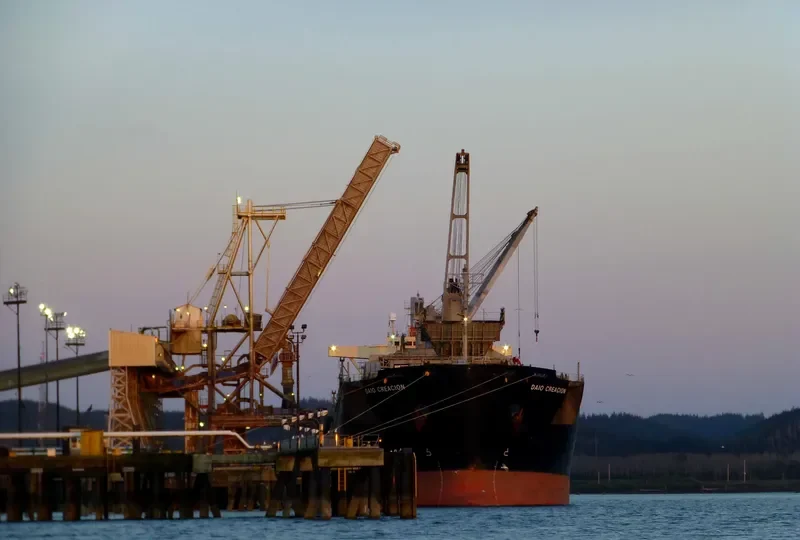 DAIO CREACION Bulk Carrier IMO 9179309 photo 3