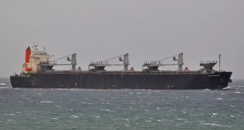 DAIO CREACION Bulk Carrier IMO 9179309 photo 5