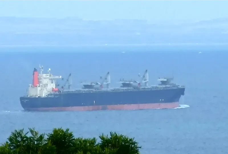 DAIO CREACION Bulk Carrier IMO 9179309 photo 6