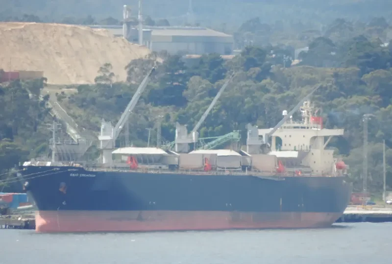 DAIO CREACION Bulk Carrier IMO 9179309 photo 7