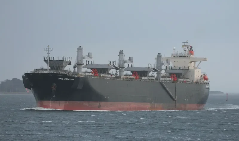 DAIO CREACION Bulk Carrier IMO 9179309 photo 9