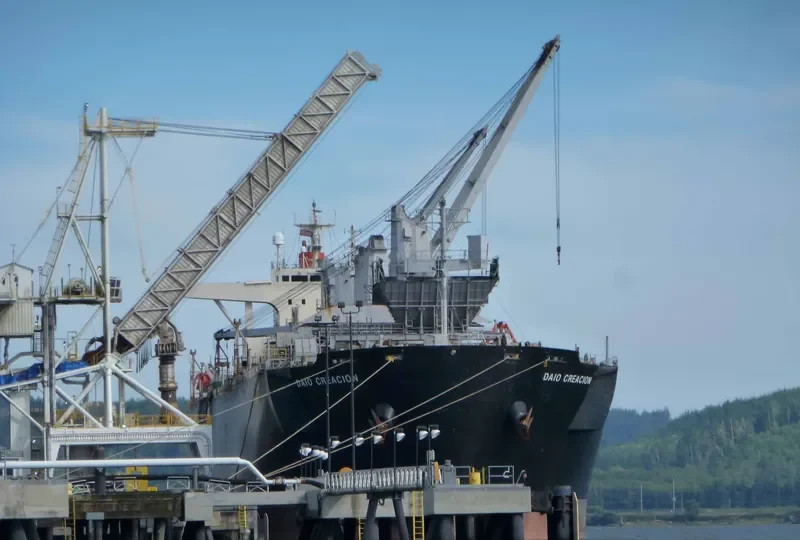 DAIO CREACION Bulk Carrier IMO 9179309 photo 10